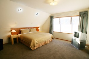 Athena Apartment 180 Riccarton Road Ch-Ch